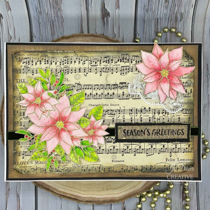 Creative Expressions Jane's Doodles Poinsettia 6 in x 8 in Clear Stamp Set