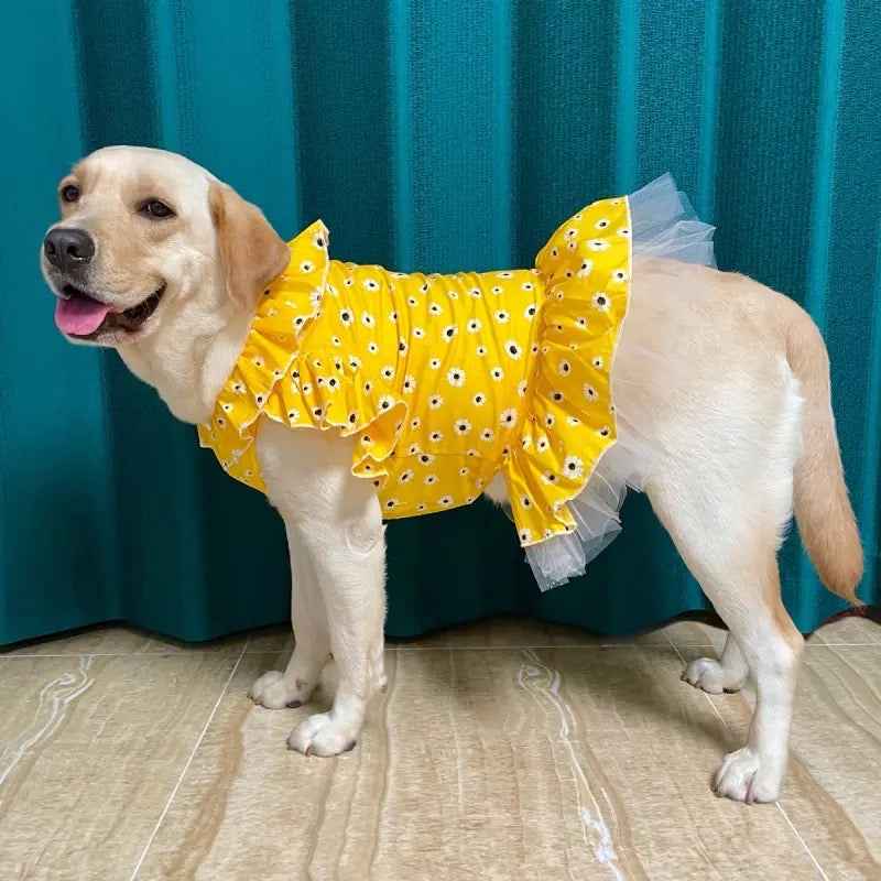 Bella Dress