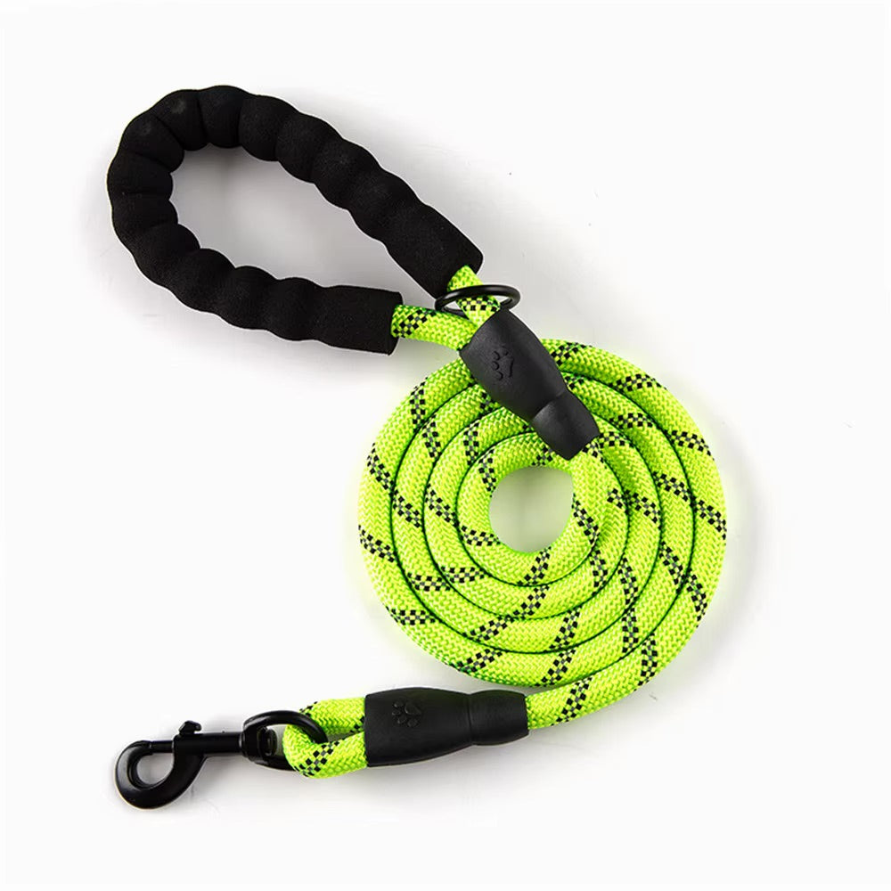 Reflective Dog Leash for Night Walks