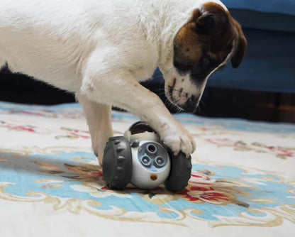 Pet Robot Slow Feeder Toy
