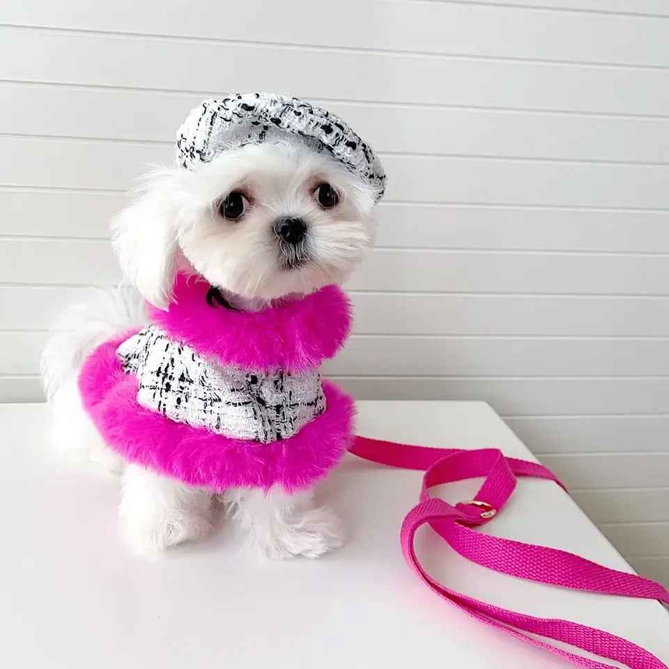 Ultra Violet Harness Set | Dog Harness Leash and Hat Set