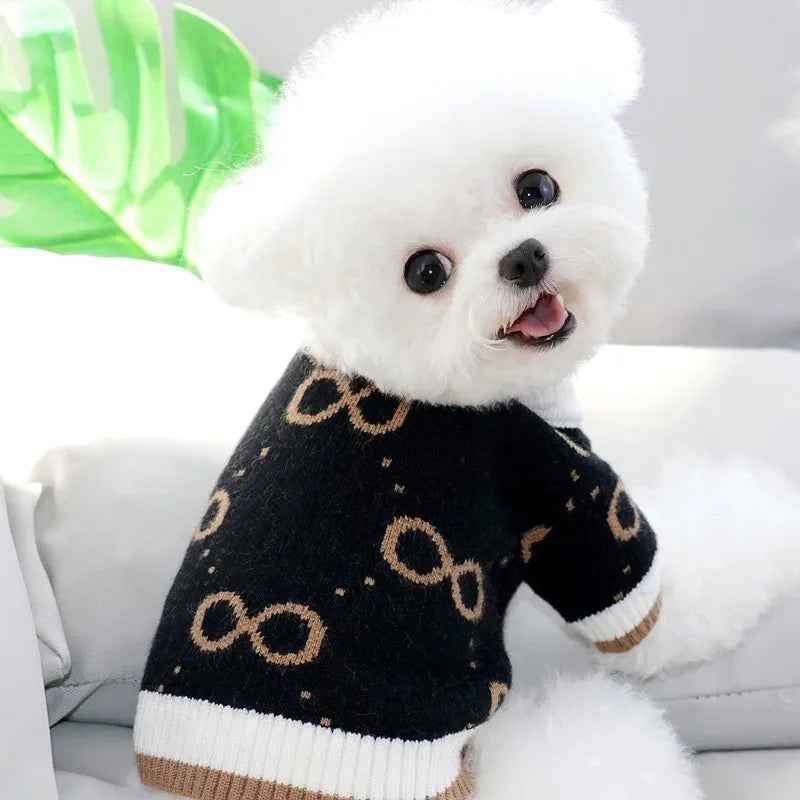 Pucci Dog Sweater – Luxury Knit Outfit for Dogs