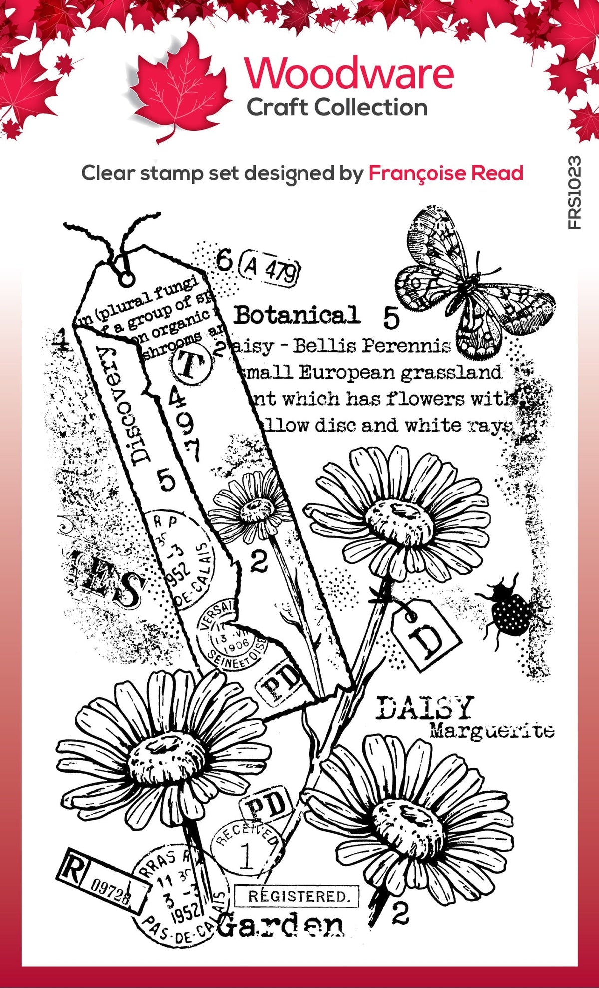 Woodware Clear Singles Garden Daisies 4 in x 6 in Stamp Set