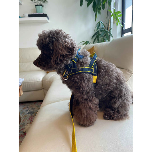 Scotland Tartan One-Click Dog Harness