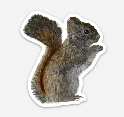 Vinyl Sticker - American Red Squirrel