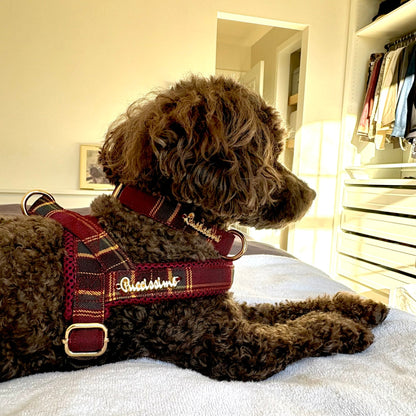 Welsh One-Click Dog Harness