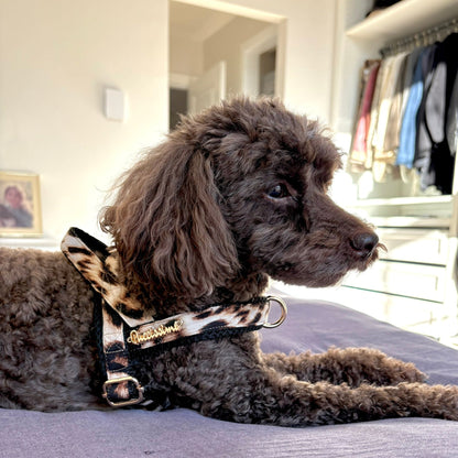 Leopard One-Click Dog Harness