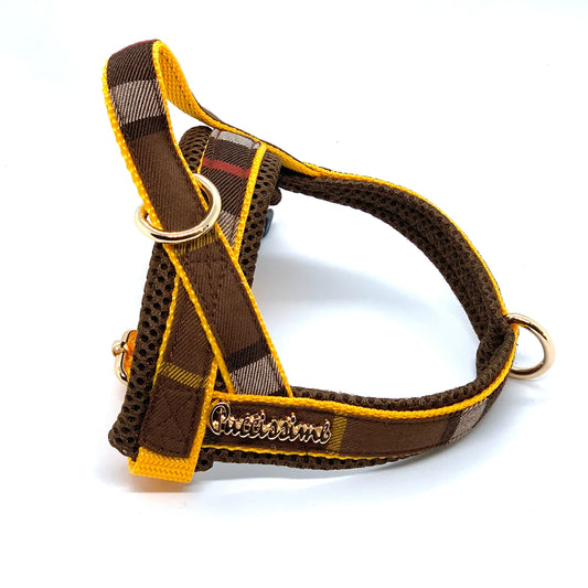 Medallion One-Click Dog Harness