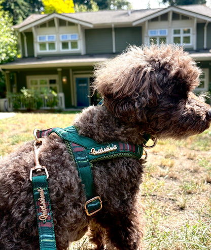 Highland Plaid Green One-Click Dog Harness