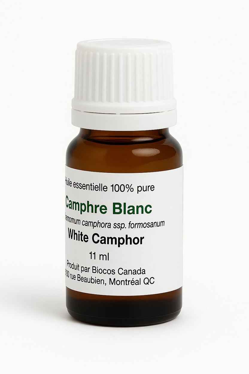 Camphre Blanc