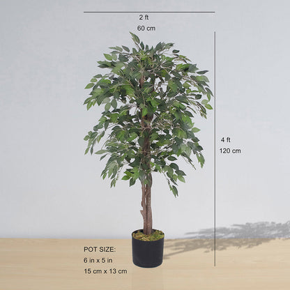 Yali Kunstfeige im Topf 122 cm
