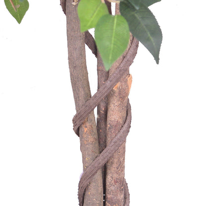 Yali Kunstfeige im Topf 122 cm