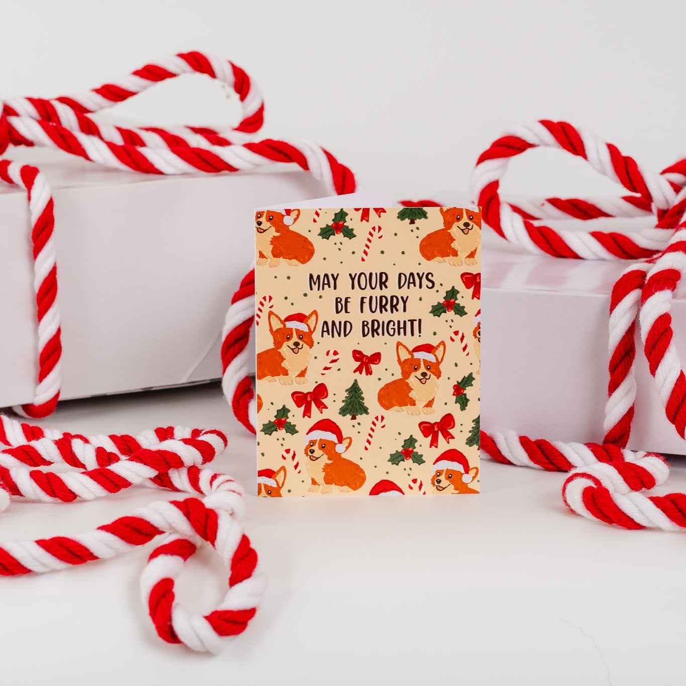 May Your Days Be Furry And Bright! - Greeting Card