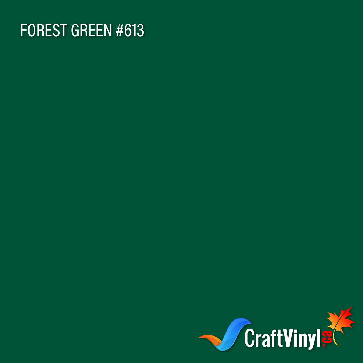 Oracal 651 Glossy Forest Green Vinyl #613 sheets and rolls