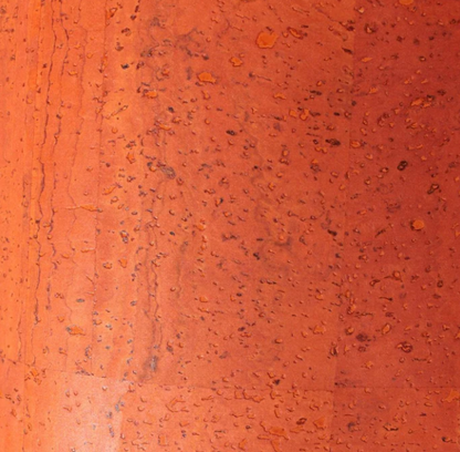 Cork Pencil Case