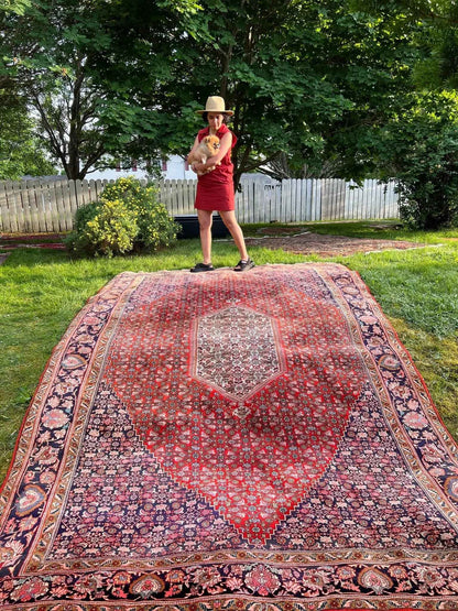 Persian Bidjar Rug | 7' 8" x 11' 8"