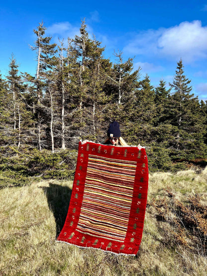 Gabbeh Rug | 3’7”x4’8”