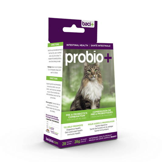Probio+ – Pré & Probiotiques Naturels pour Chats & Chatons