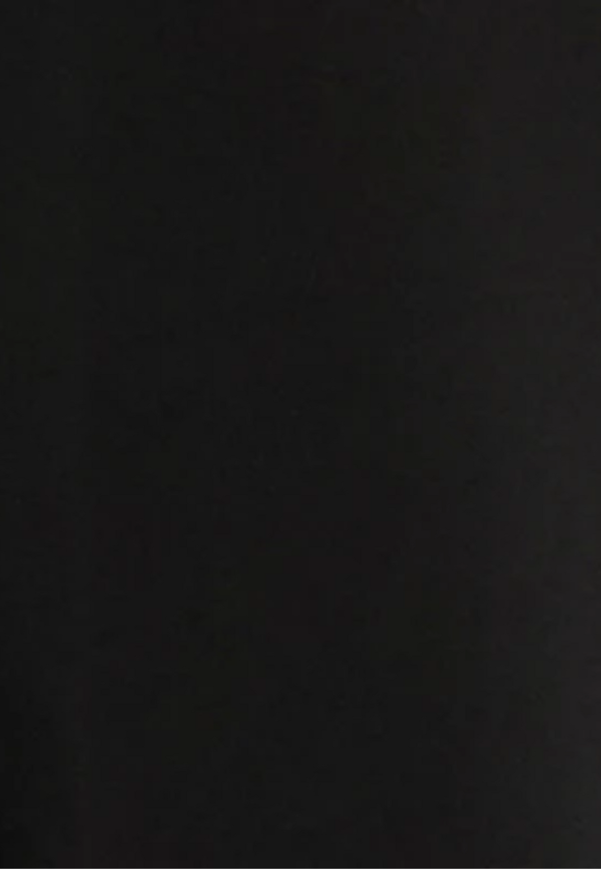 Alexa Wide Leg Maternity Pant Black