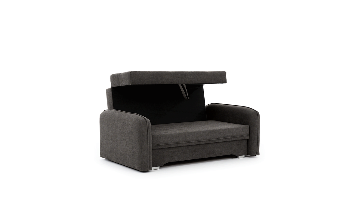 Laine Condo Style 2 Seater Storage Sleeper Sofa - Dark Grey