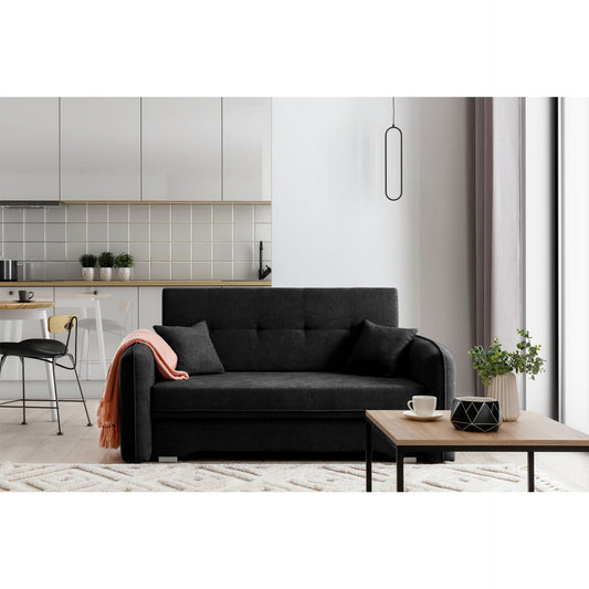 Laine Condo Style 2 Seater Storage Sleeper Sofa - Black