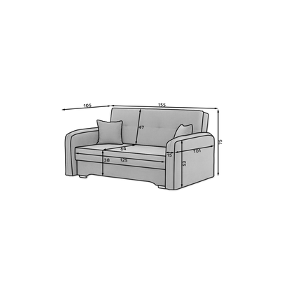 Laine Condo Style 2 Seater Storage Sleeper Sofa - Black