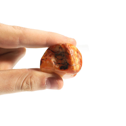Carnelian E Tumbled Stones - Brazil