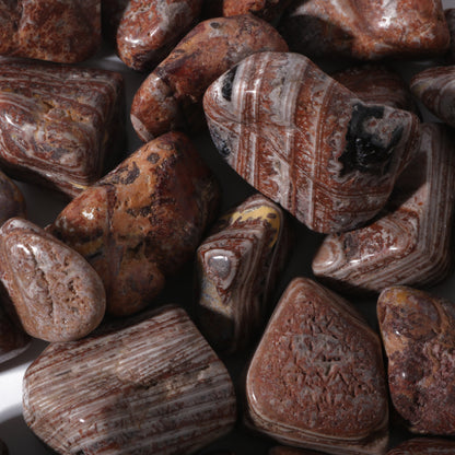Casanova Chalcedony Tumbled Stones