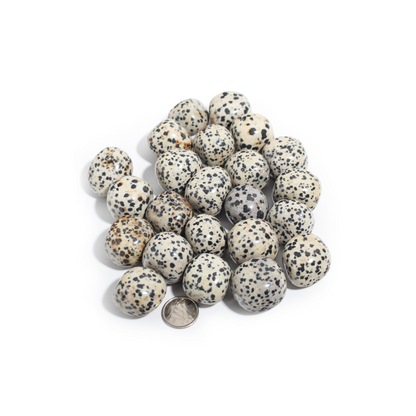 Dalmatian Jasper Tumbled Stones