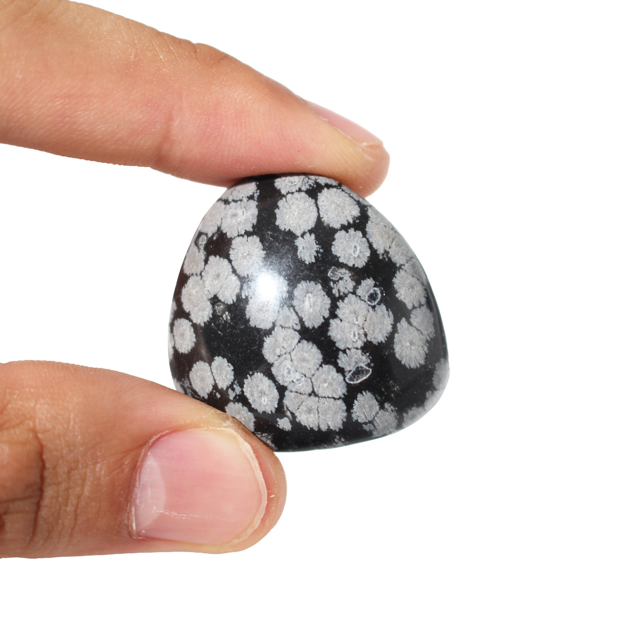 Obsidian Snowflake Tumbled Stones