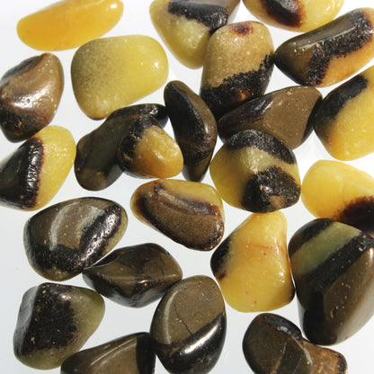 Septarian Tumbled Stones