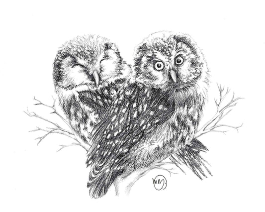 Adorable Owls in love - art print