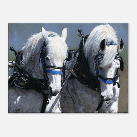 POWER AND GRACE Canvas Print