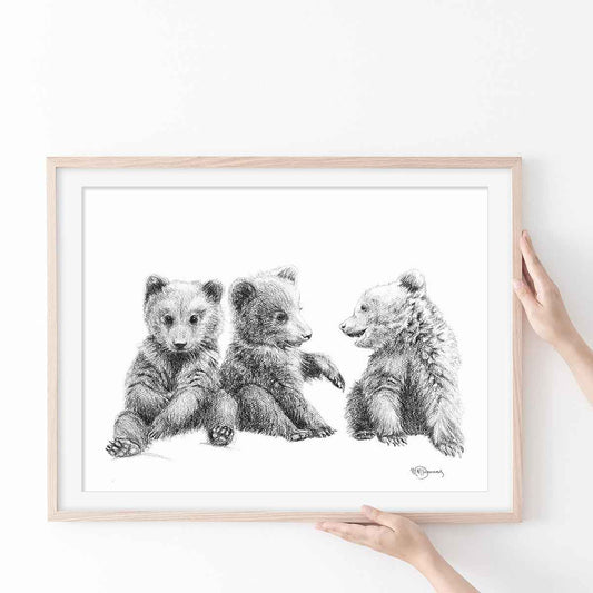 3 Brown Bear Cubs -  Illustration