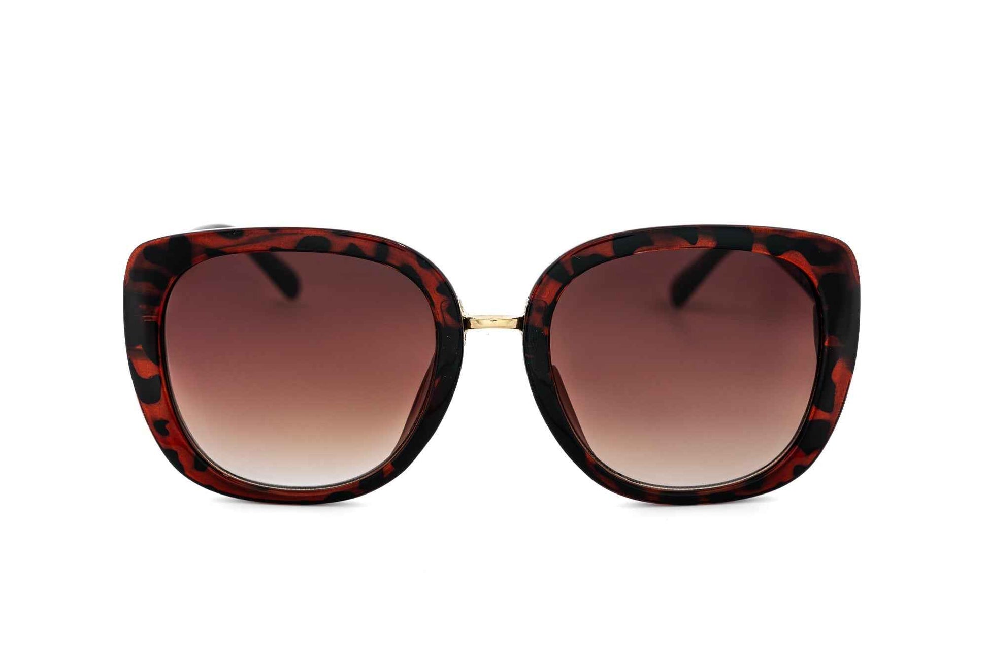 Calyra – Oversized Cat-Eye Sunglasses | Bolero Eyewear