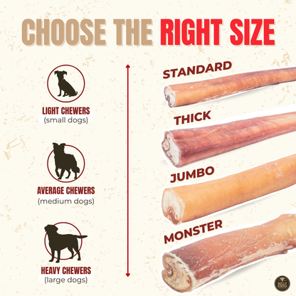12 Inch Thick Bully Stick