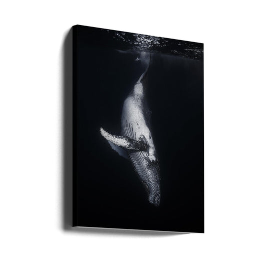 ウォールアート - 黒いクジラ