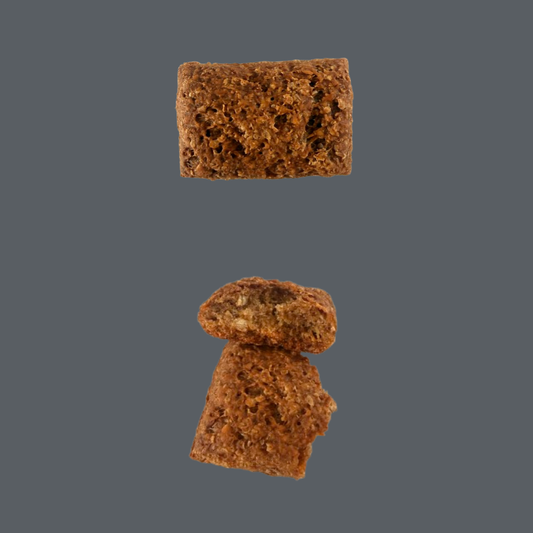 Biscuit croquant à saveur de saumon sauvage