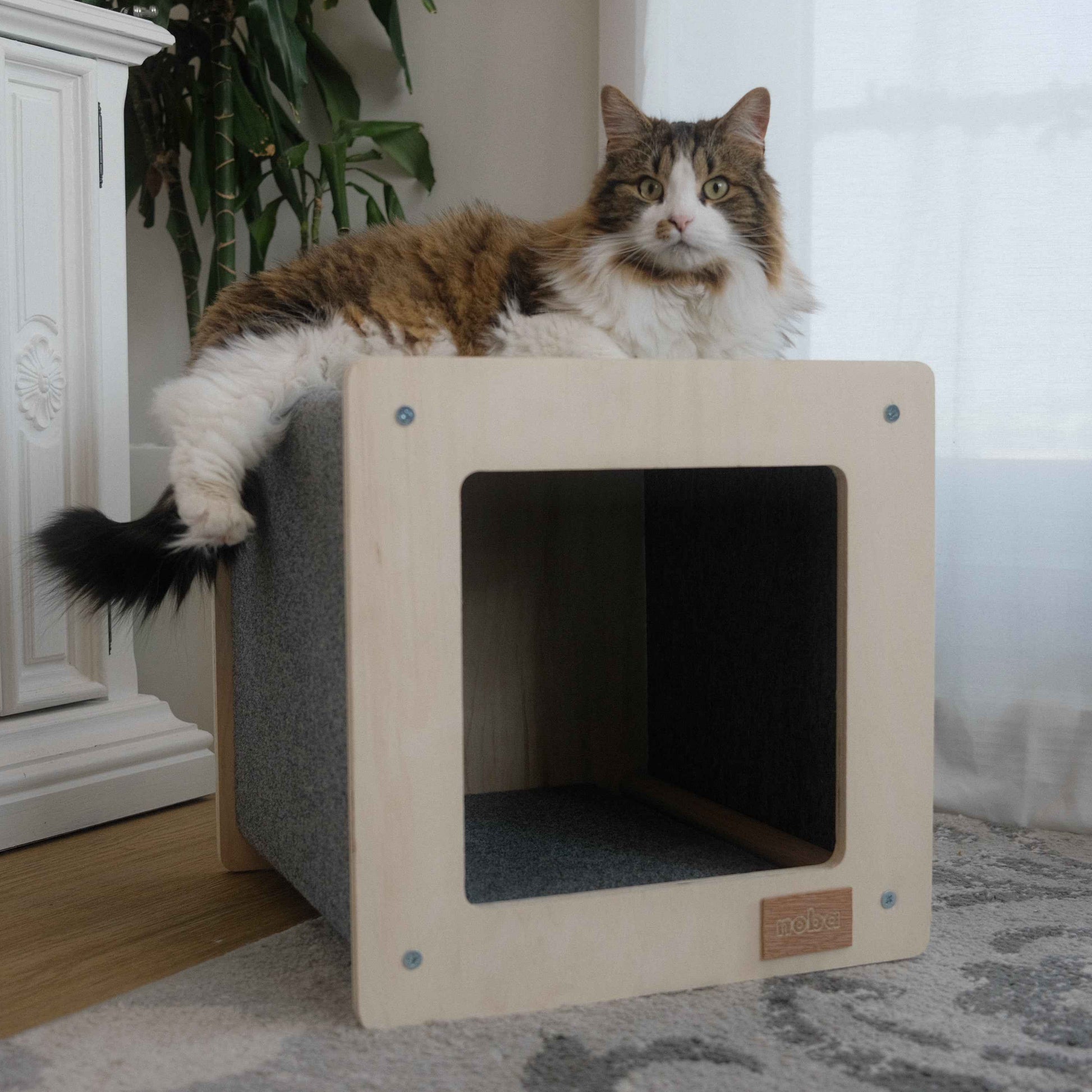 The Urban Hut Pet House