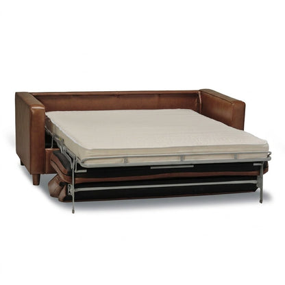 Darrow Queen Sofa Bed