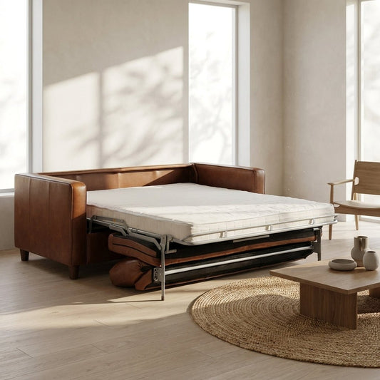 Darrow Queen Sofa Bed
