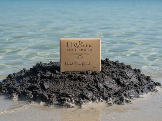 Totes Meer Detox Schlamm Seifenstück Handgemachte Mineralienseife – Livpure Naturals