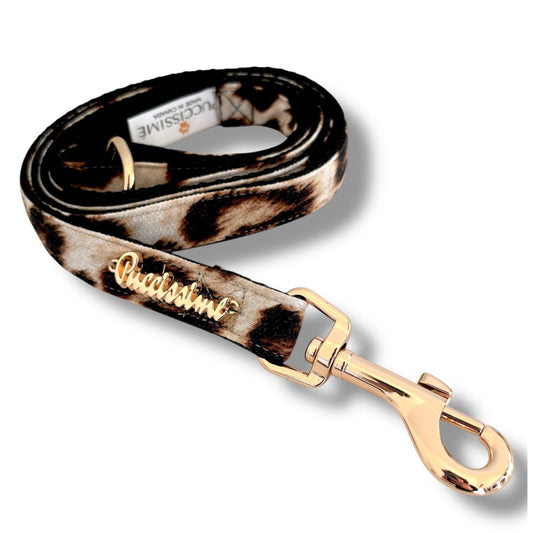 Leopard Leash with hands-free extension
