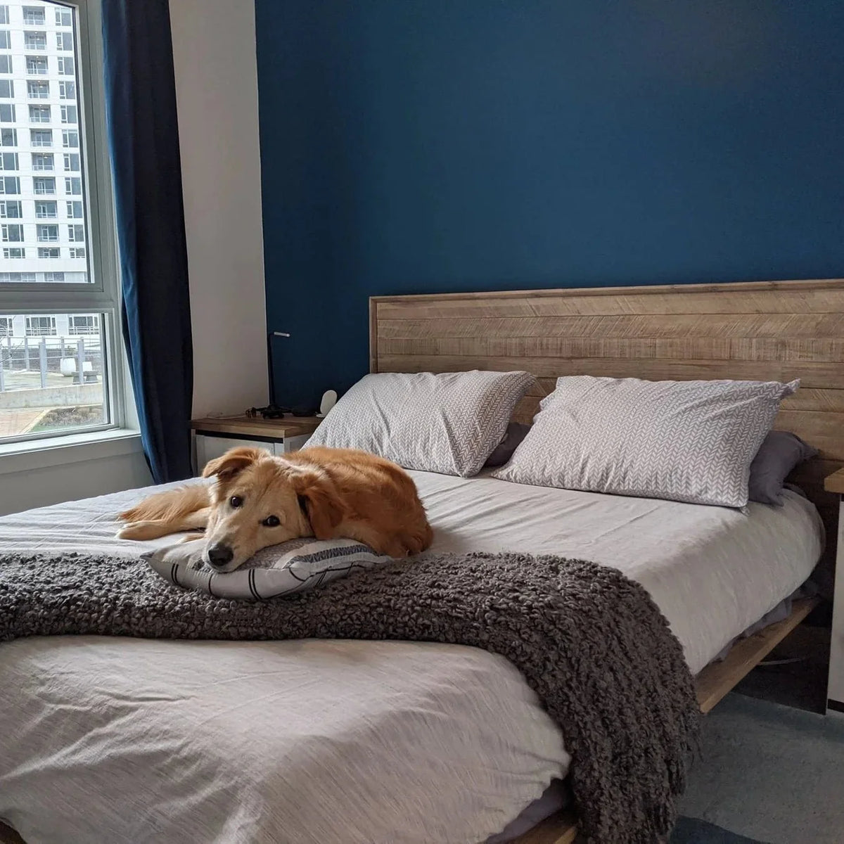 Giana Bedroom Set