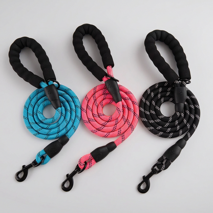 Reflective Dog Leash for Night Walks