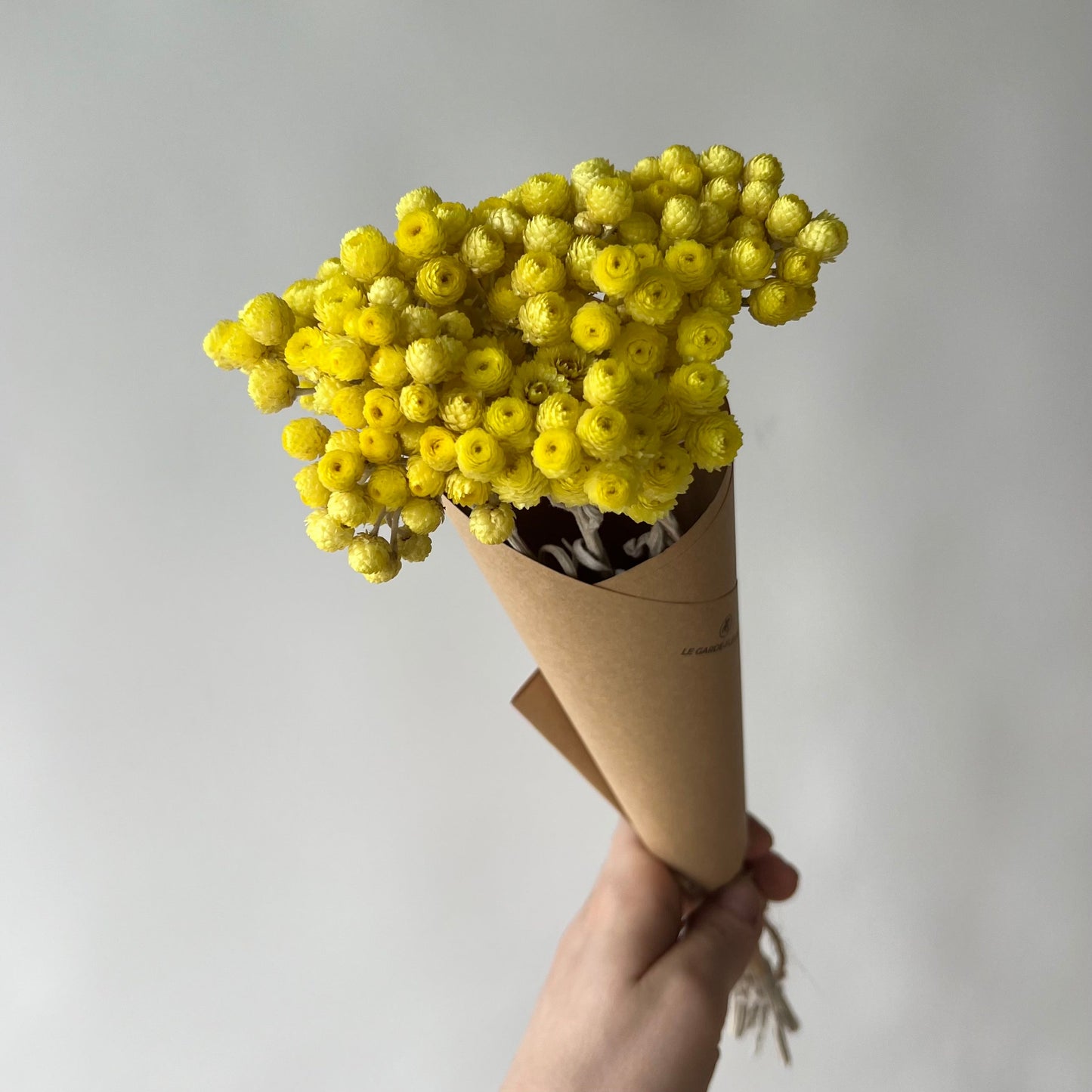 Gelbe Strohblumen