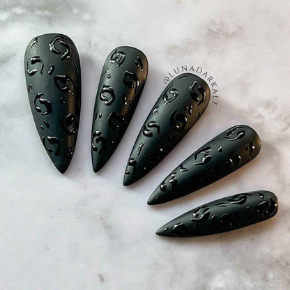 Black on Black: Leopard