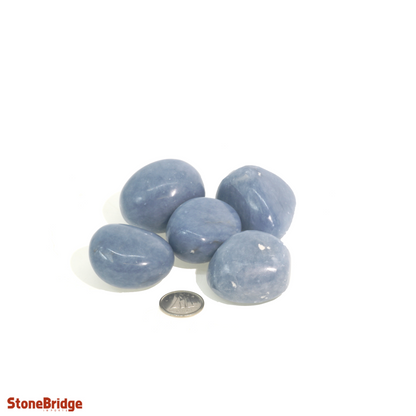 Angelite Tumbled Stones
