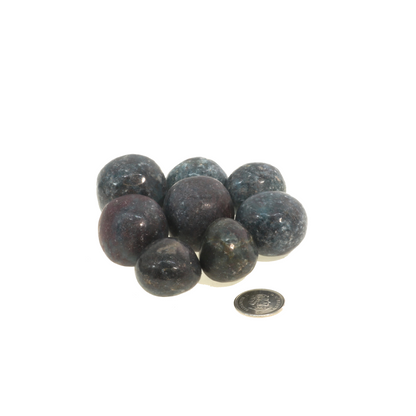 Ruby Kyanite Tumbled Stones - India