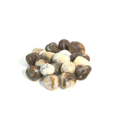 Orbicular Jasper Tumbled Stones - India
